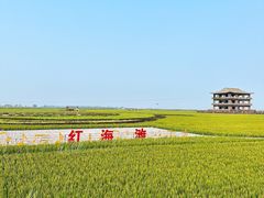 -红海滩国家风景廊道