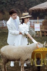 点击看大图 -情订奇缘婚纱摄影(和平路店)