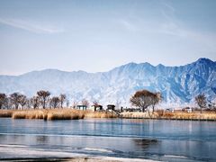 -野鸭湖国家湿地公园