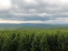 -塞罕坝国家级自然保护区