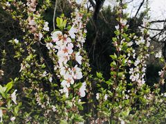 -香山公园-东宫门售票处