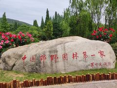 -习家池