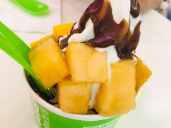 -Salud撒露欧洲冻酸奶(798艺术区店)