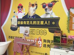 -神采飞扬宠物美容(香港路店)