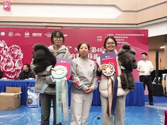 -鑫艺宠物美容培训学校