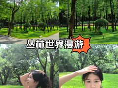 -晓港公园