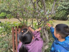 -玛利娅蒙特梭利双语幼儿园·托育(百家湖直营园)