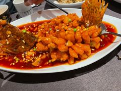 -羲和雅苑•北京烤鸭(国贸商城店)