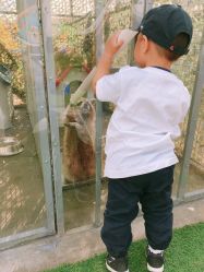 点击看大图 -萌宠亲子动物乐园(槐房万达店)