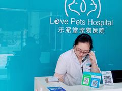 -乐派堂宠物医院·猫友好· 心脏科(东街店)