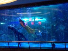 -大明湖海底世界