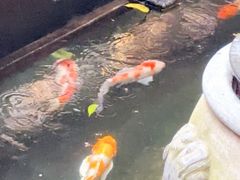 -三只耳火锅(宽窄巷子店)