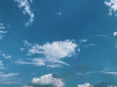 -鹅湖玫瑰文化园