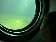 -白鹤梁水下博物馆