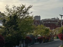 -大锅强·蒸海鲜青岛菜(金沙滩店)