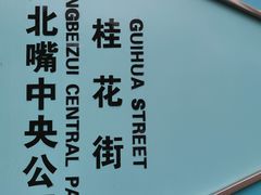 -重庆市江北嘴中央商务区中央公园