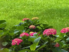 -常州古运河南大街文化旅游区-人民公园