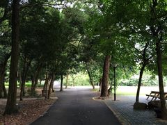 -南宁良凤江国家森林公园