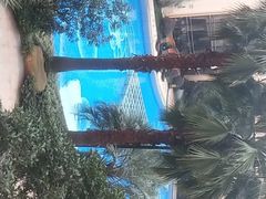 -上海浦东星河湾酒店