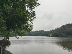 -深圳仙湖植物园
