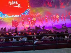 -广州长隆国际大马戏