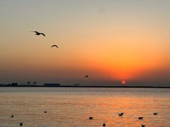 -金梦海湾浴场
