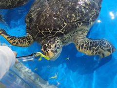 -泉城欧乐堡海洋极地世界