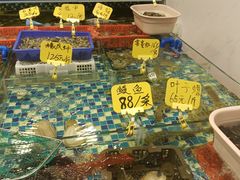 -厦门轮渡码头