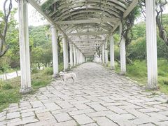 -苏州上方山国家森林公园