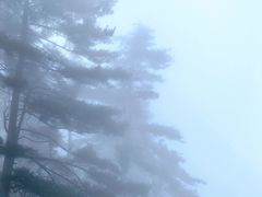 -秦岭天竺山景区