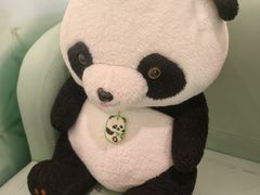 -眉州东坡·熊猫主题餐厅(枫蓝店)