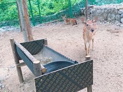 -西部长青自然儿童乐园