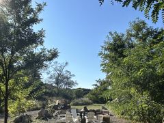 -利星行天竺之星汽车有限公司