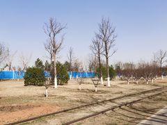 -永定河休闲森林公园