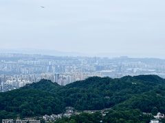 -大金鹰园