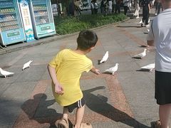 -顺峰山公园