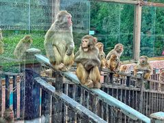 -济南野生动物世界