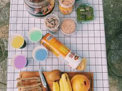 -铁山坪森林公园