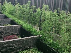 -上海崇明金茂凯悦酒店