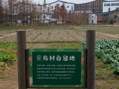 -乌村