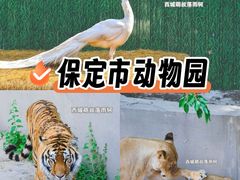 -保定市动物园