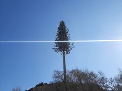 -沈阳辉山风景区