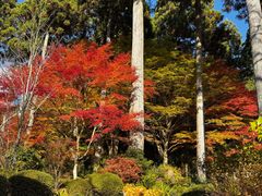 -三千院