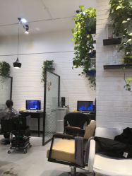 -Z.X HAIR SALON张新美业