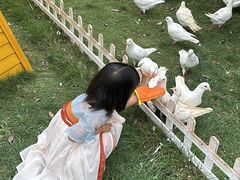 -仙海旅游度假区