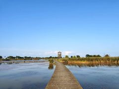 -盐城丹顶鹤湿地生态旅游区