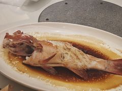 古法蒸东星斑-利苑酒家(合景国际金融广场店)
