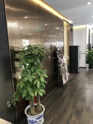 -崇尚GAVIN STYLE臻选