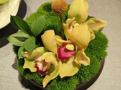 -三利音·浦之舟(滨江大道店)