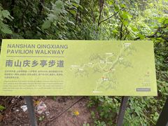 -南山植物园